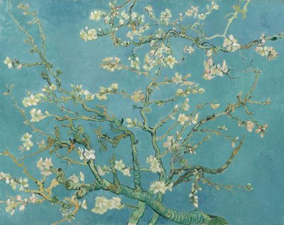 Amandelbloesem door Vincent van Gogh